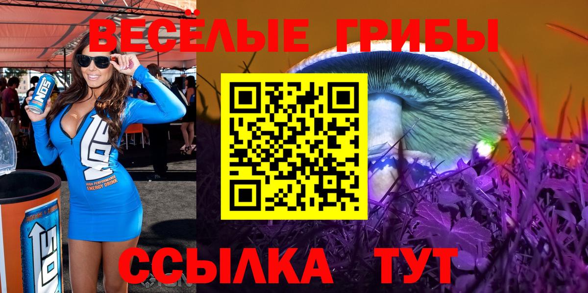 Псилоцибиновые грибы Magic Shrooms Калининград